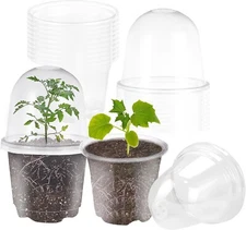 4 Inch Plastic Nursery Pots with Humidity Dome for Plants Clear Seed