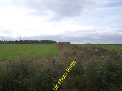 Foto 6x4 Ackerland, Cara Burray Dorf blühende Heuwiesen auf Süd Rona c2015