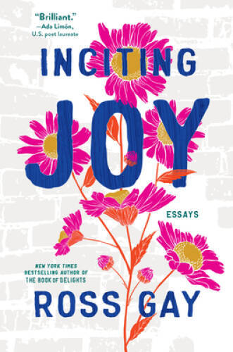 Inciting Joy: Essays - Hardcover By Gay, Ross - VERY GOOD