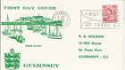 1964 Guernsey 2.5d Regional On Wilson FDC Cat £30