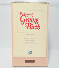 The Process of Giving Birth Flip Chart Childb...