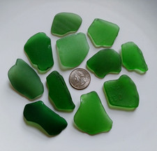 11 XL green sea beach glass pieces genuine surf tumbled, thick and frosted, NYC