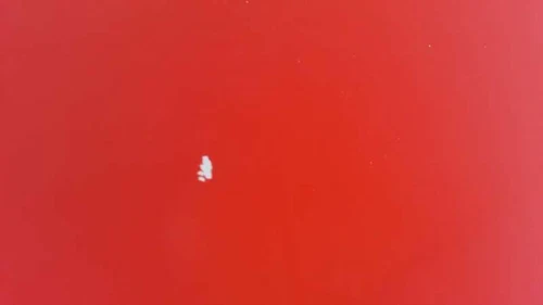K96191850A Capo para DAEWOO NEXIA GL 1995 1215428 - Foto 3 di 9