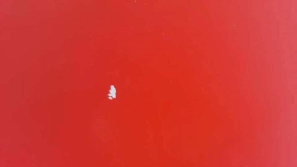 K96191850A Haube Für DAEWOO NEXIA GL 1995 1215428 - Bild 3 von 4