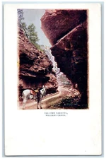 c1905 The Narrows Horse Road Cliff Williams Canon Colorado CO Vintage Postcard