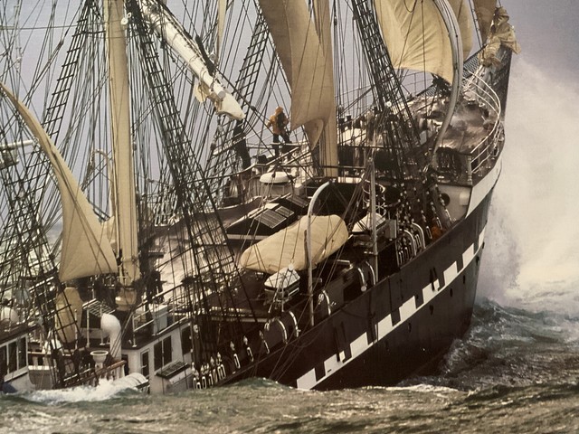 puzzle passion educa