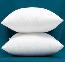 Warmwithann Set 2/24 x24 Cotton Square Throw Pillow Inserts Down Feather