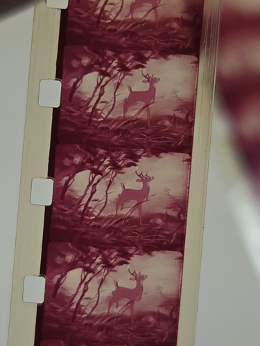 BAMBI FALLS IN LOVE - Walt Disney Home Movies Super 8 mm. Silent & Color Film - Picture 4 of 21