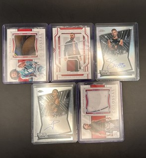 Topps/Panini WWE National Treasures/Chrome 5er Patch/Auto LOT