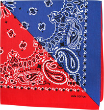 22 Inch Cotton Paisley Bandana