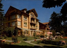 Hotel Alpenrose Wilderswil Interlaken Switzerland vintage postcard s275