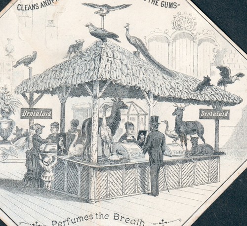 Dr Carman DDS Dentalaid 1882 Zoo Exhibit Teeth Gum Breath Exhibit NY Trade Card
