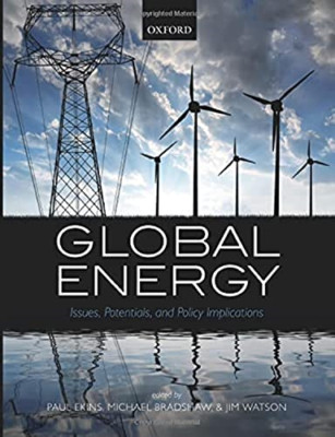 Global Energy: Issues, Potentials, and Policy Implicati - Paperback NEW Paul Eki
