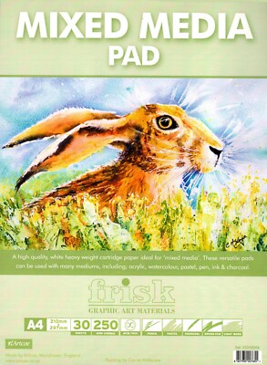 FRISK MIXED MEDIA PAD   SIZE A4 (PACK OF 30 SHEETS)