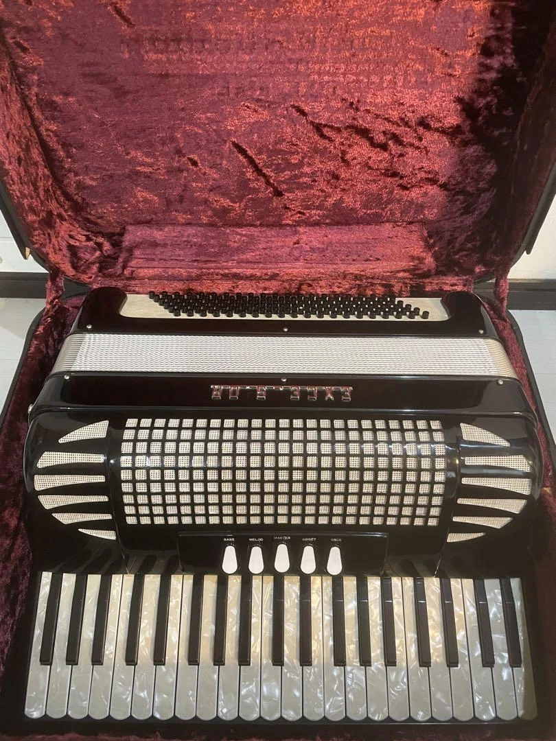 Accordion excelsior cheap