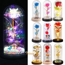 Rose LED Light Glass Mother Lover Gifts for Wife Women Mom Valentines Girlfriend