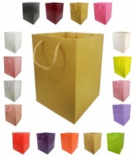 Glossy Vibrant Flower Gift Bag, Bouquet Vase | Transportation | Display Present