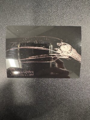 2024 Topps Allen & Ginter #XR-1 Toco Toucan X-Ray