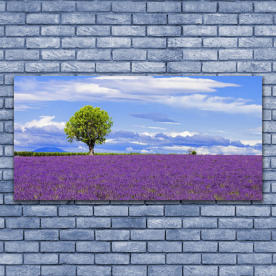 Tableau Photo Sur Toile 140x70 Cm - Nature, Sentier Dans Les Arbres - Style Moderne - Neuf