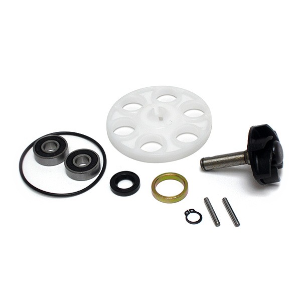 Malaguti F15 Firefox LC RST Euro 2.3 50 Reparatursatz Wasserpumpe 2003-2005-image