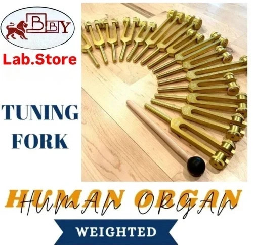 Human Organ Gold Weighted 15 Set Tuning Forks with Mallet and Velvet Bag - Picture 1 of 7