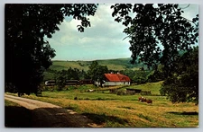 Vintage Southern Railway Postcard Farmer Watching Freight Train Summer