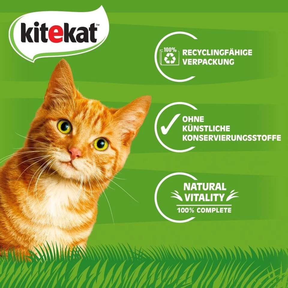 KiteKat 96 x 85g Adult Katzenfutter Nass Bunte Vielfalt in Sauce - Bild 4 von 4