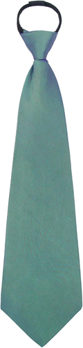 Ties for Women, School Ties for Girls, Adjustable Black/Red Pre-tied Zipper Tie - Picture 1 of 6
