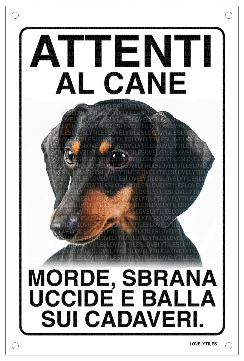 Marca abbigliamento con il deals bassotto