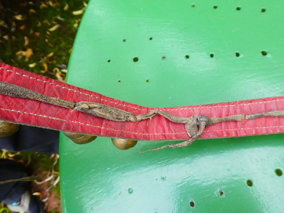 Ancien Collier de cheval 24 grelots d'attelage  Provenance Tibet oriental - Photo 4/4