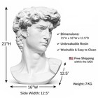 21 Inch David Resin Bust Professional Drawing Sculpture Unbreakable & Washable