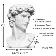 21-Inch David Resin Bust Professional Drawing Sculpture Unbreakable & Washable