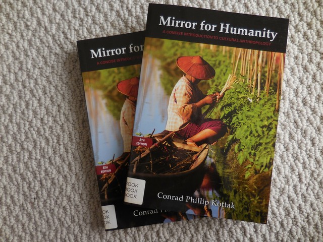Mirror for Humanity A Concise Introduction to Cultural Anthropology