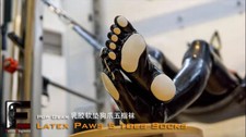 Latex five finger socks dog paw
