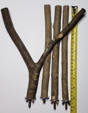 WYSIWYG Real USA Wood Bird Perches For Medium To Large Bird Or Parrot 10" X 3/4"