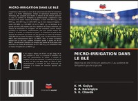 K. M. Gojiya (U. A.) | MICRO-IRRIGATION Dans Le BlÉ | Taschenbuch | FranzöSisch