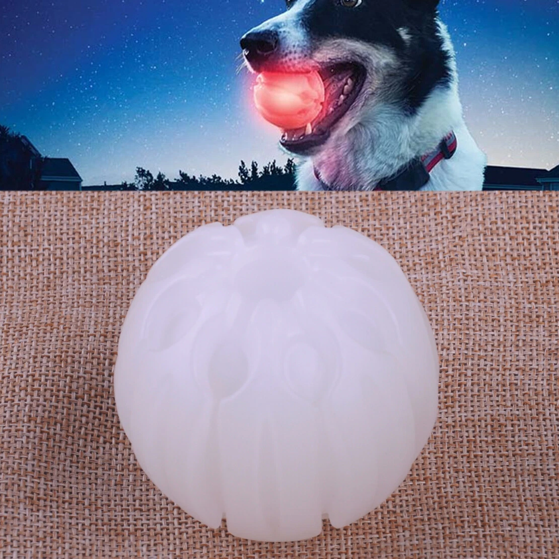 Light Up LED Dog Balls Toys with Sound