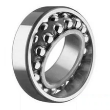 FAG (Schaeffler) 2313-TVH Self-Aligning Double Row Ball Bearing