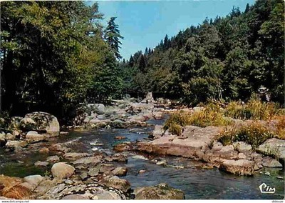 Postcard - 43 - Haute Loire - Le Lignon through the forest - Ideal corner for