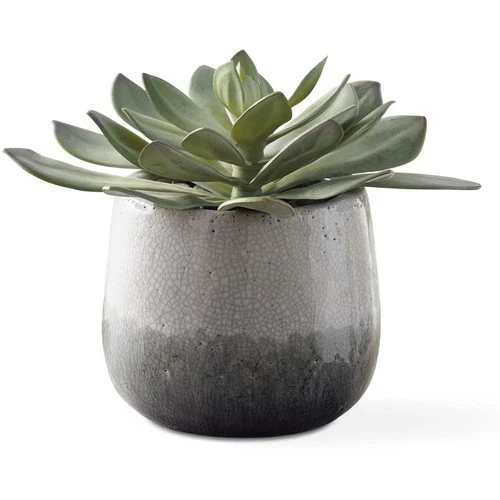 Uttermost 60261 Dudleya  Green and Aged White and Blue Grey Ombre - Picture 1 of 3