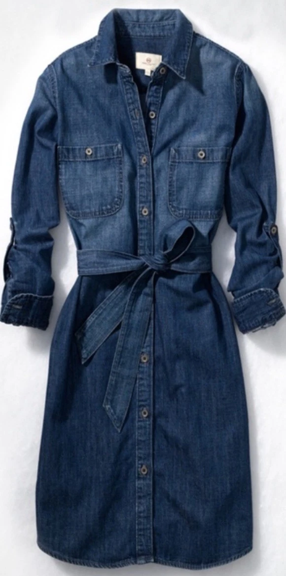 adriano goldschmied denim dress Alexa Chung for AG Pixie Denim Dress in Lonestar