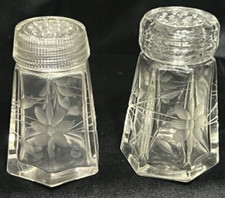 Vintage Antique Etched Glass Salt and Pepper Shaker set