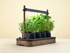 Auk Mini Bundle Starter Kit Indoor Smart Garden Hydroponic Walnut Black RRP &pound;239