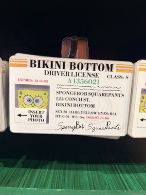 Universal Studios SpongeBob SquarePants Bikini Bottom Drivers License Prop