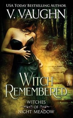 Witch Remembered by V. Vaughn (English) Paperback Book