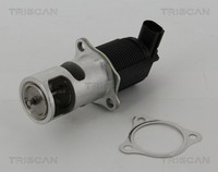 Triscan Agr Ventil 8813 25005 FüR Vivaro Espace Interstar Nissan Avantime El X70