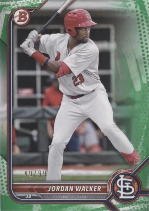 Green Pattern Border