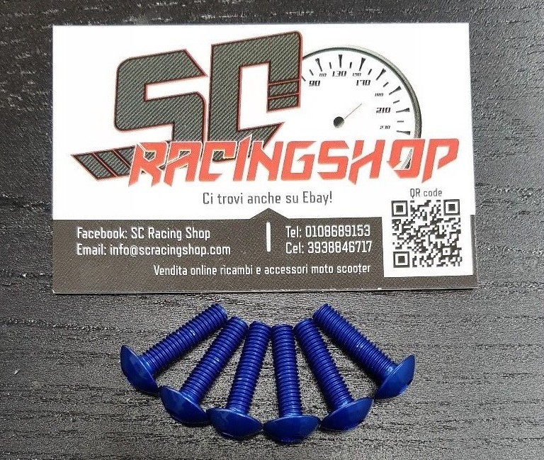 VITI IN ERGAL CARENA TESTA BOMBATA TCBEI M5X20 6 PEZZI BLU