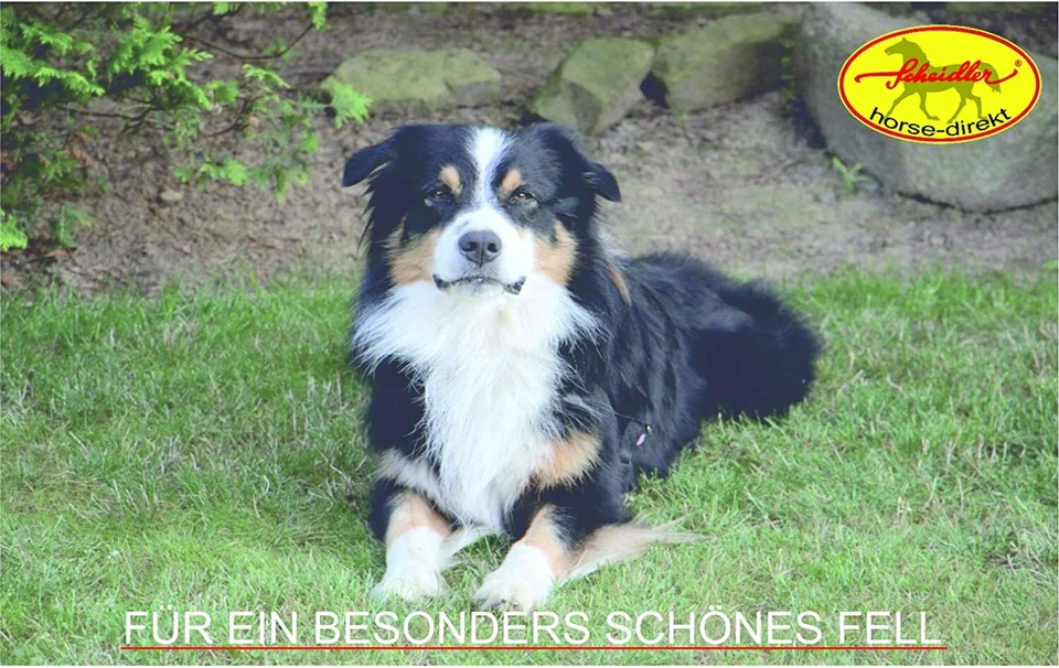 Horse-direkt Lachsöl 2 x 1 Liter, Omega 3+6 - Barföl, Hunde, Katzen, - Bild 3 von 4