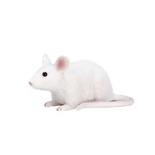 Mojo WHITE MOUSE cute pet farm models toys plastic figures animals NEW